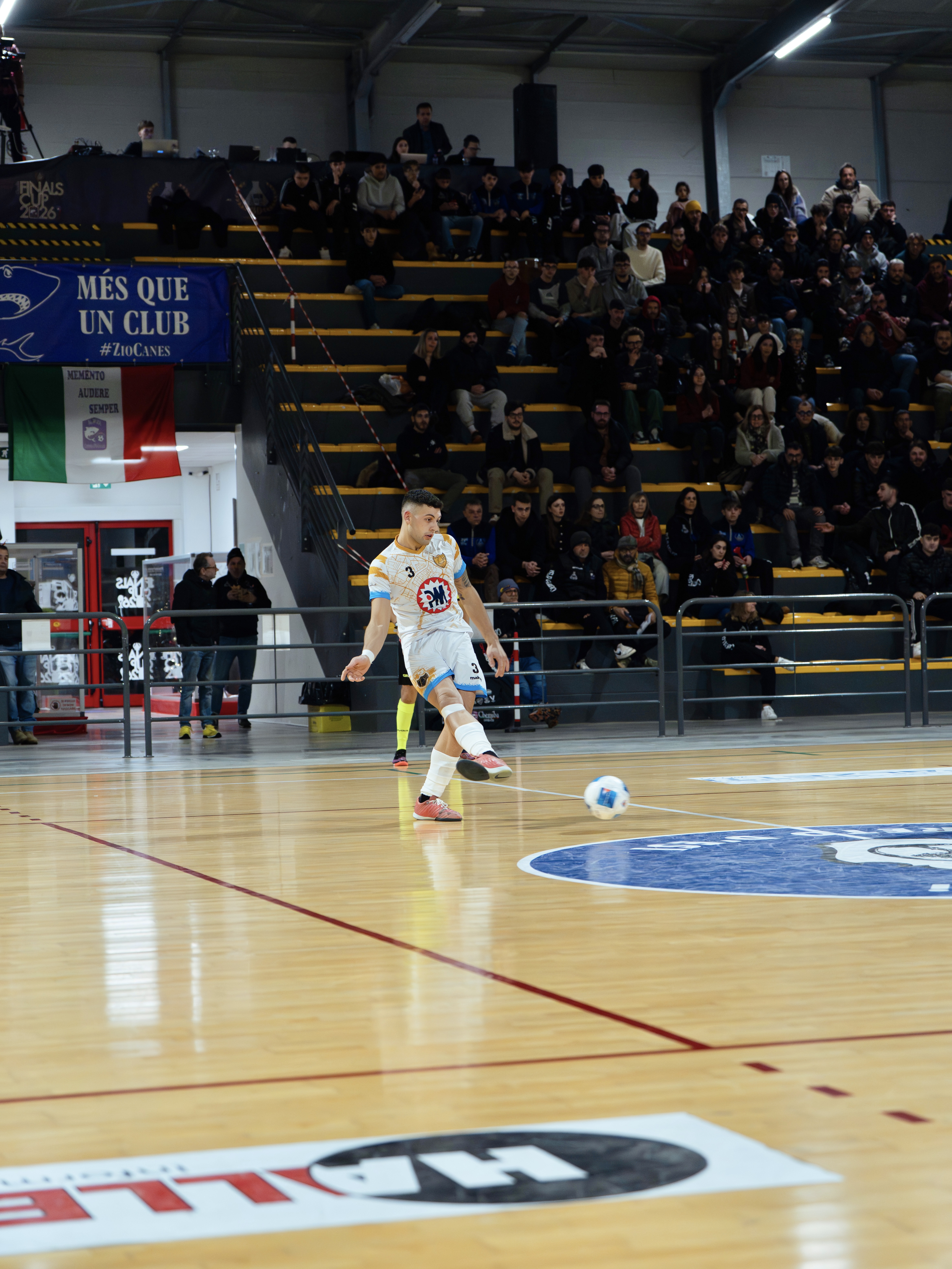 Foto della partita